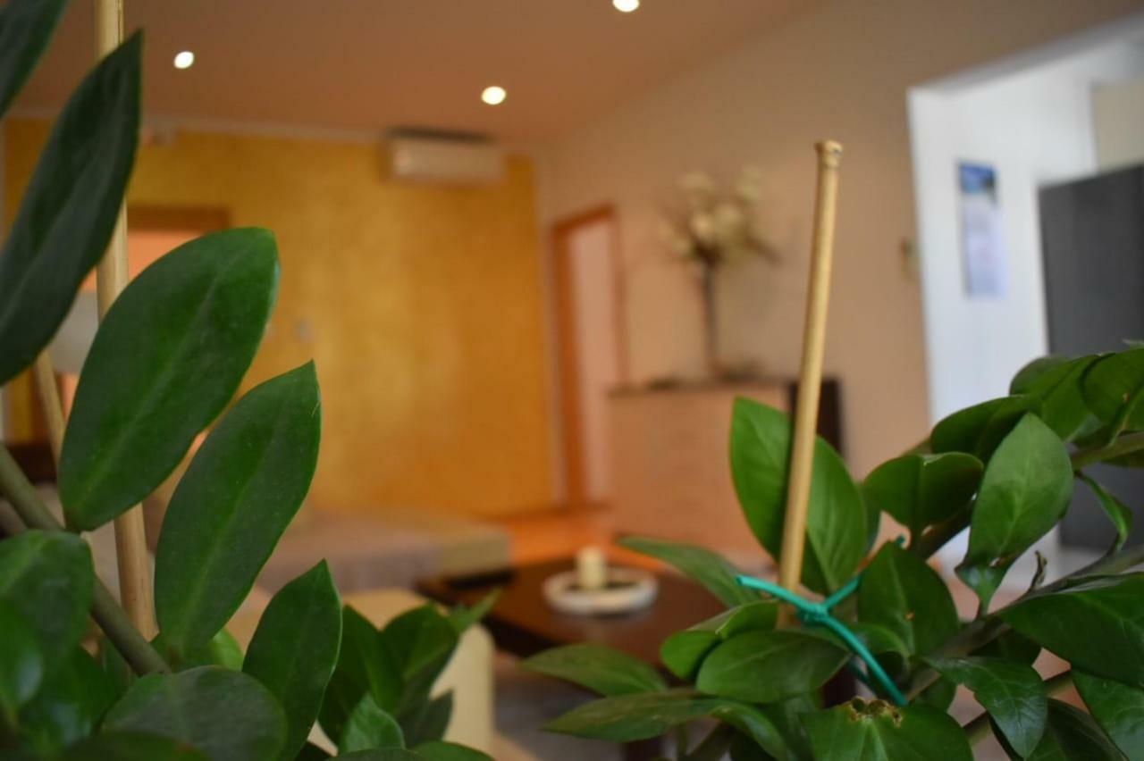 Fantasy Apartment Korčula Extérieur photo